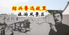 靠逼小视屏中国绍兴-鲁迅故里旅游风景区